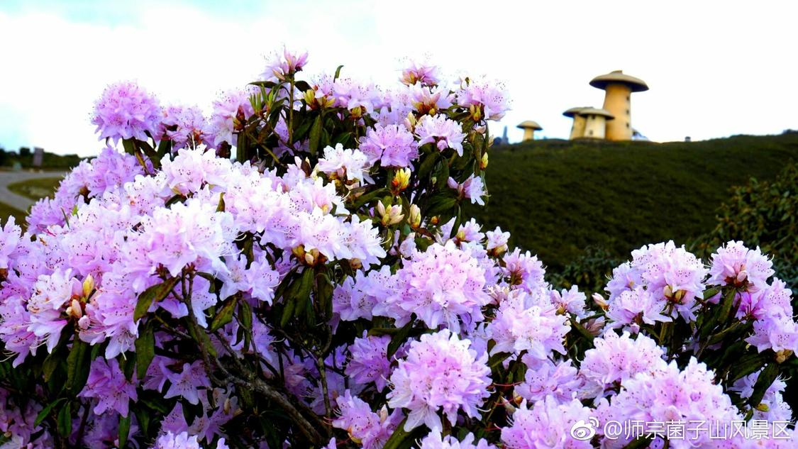 176自助下单平台网站便宜