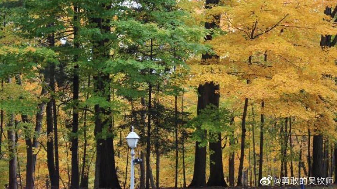 全网最最最便宜涨赞网站：社交媒体互动增长高效策略_抖音点赞10个自助平台